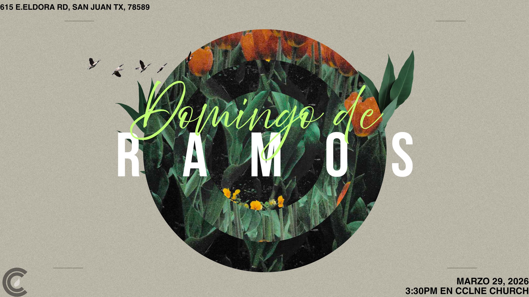 Domingo de Ramos